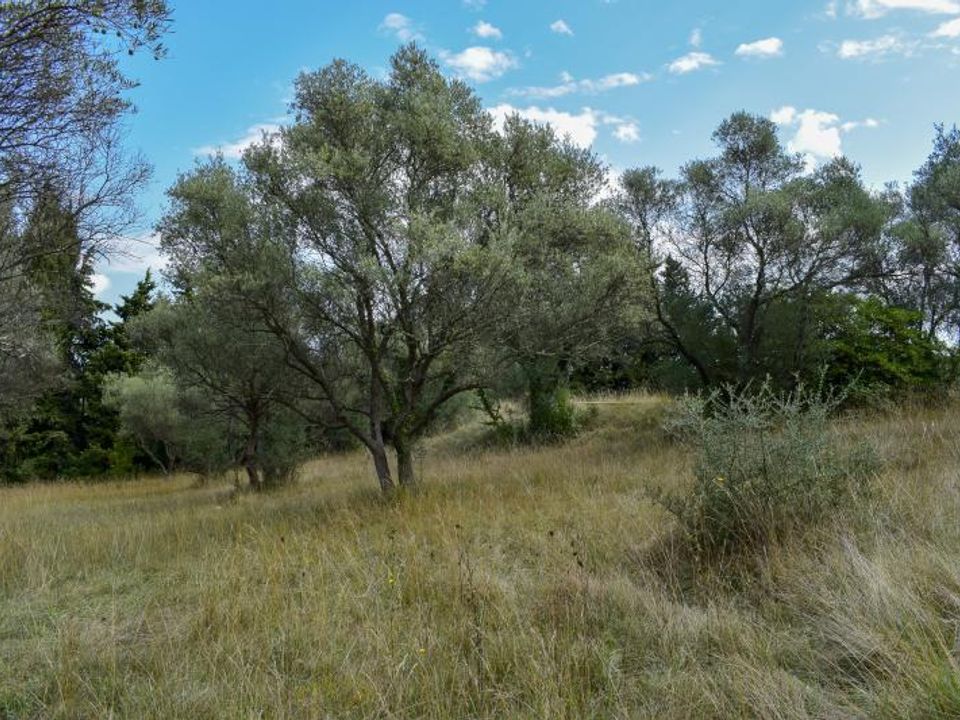 Helårsgrund i Saint-Mathieu-de-Treviers, Herault - foto 5