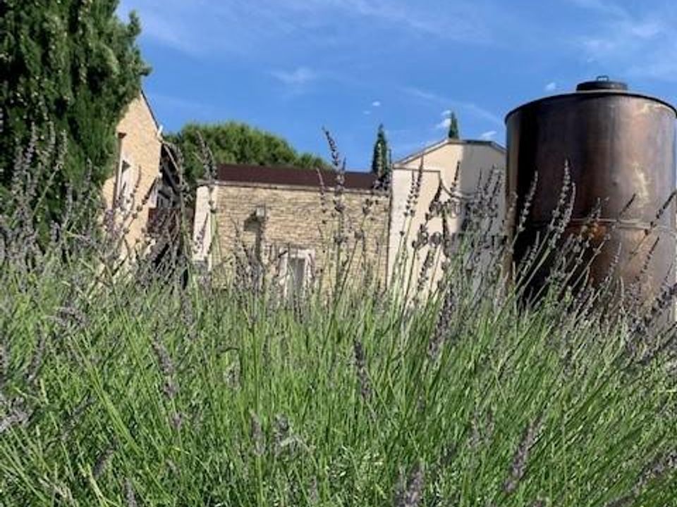 Helårsgrund i Cabrières-d'Avignon, Vaucluse - foto 4