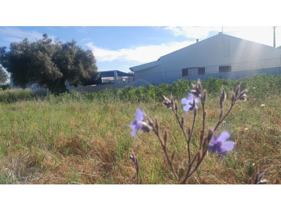 Helårsgrund i Boliqueime, Faro - foto 1