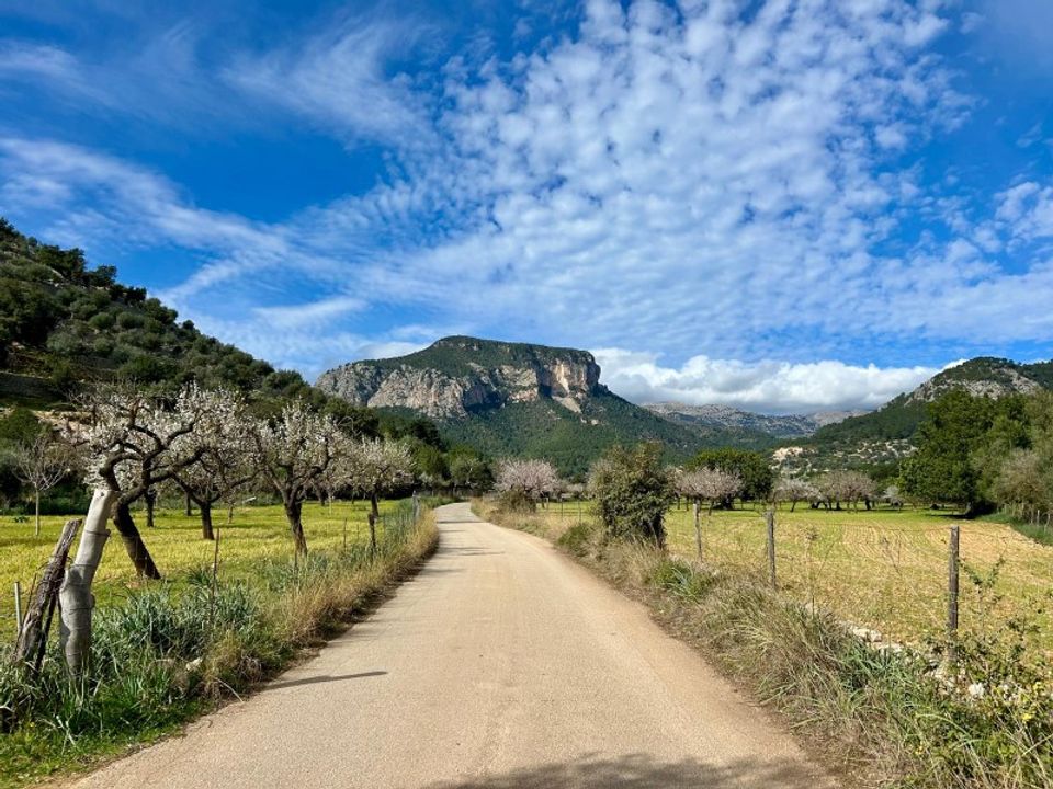 Villa i Lloseta, Mallorca - bilde 2