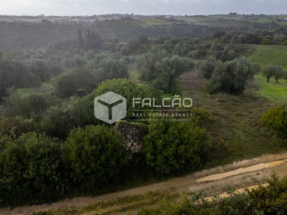 Terreno en Santarem, Santarem - foto 2