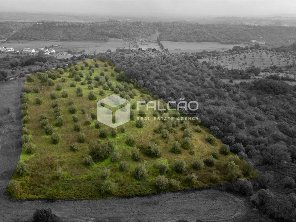 Terreno en Santarem, Santarem - foto 3