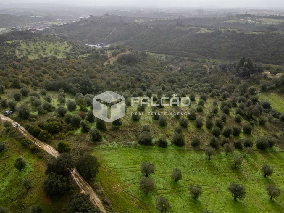 Terreno en Santarem, Santarem - foto 1
