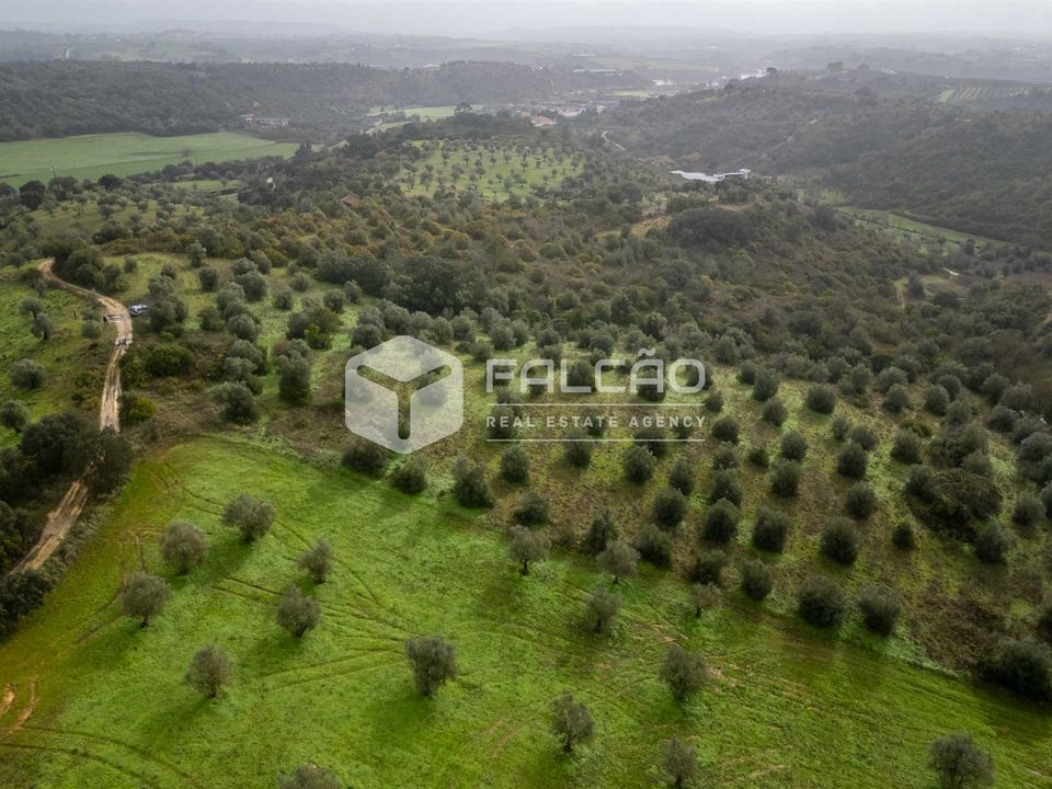 Terreno en Santarem, Santarem - foto 4