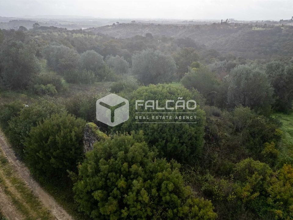 Terreno en Santarem, Santarem - foto 5