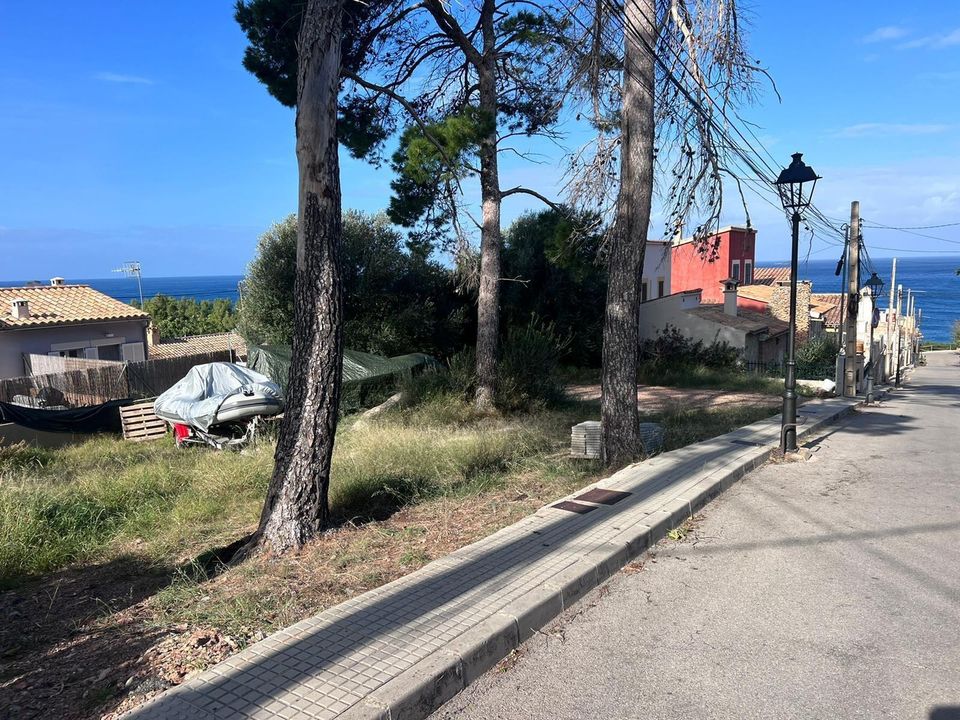 Terra a Banyalbufar, Mallorca - foto 3