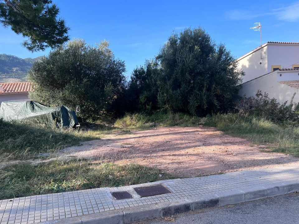 Terra a Banyalbufar, Mallorca - foto 4