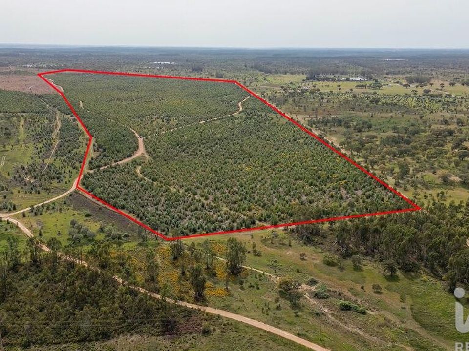 Helårsgrund i Abrantes, Santarem - foto 1
