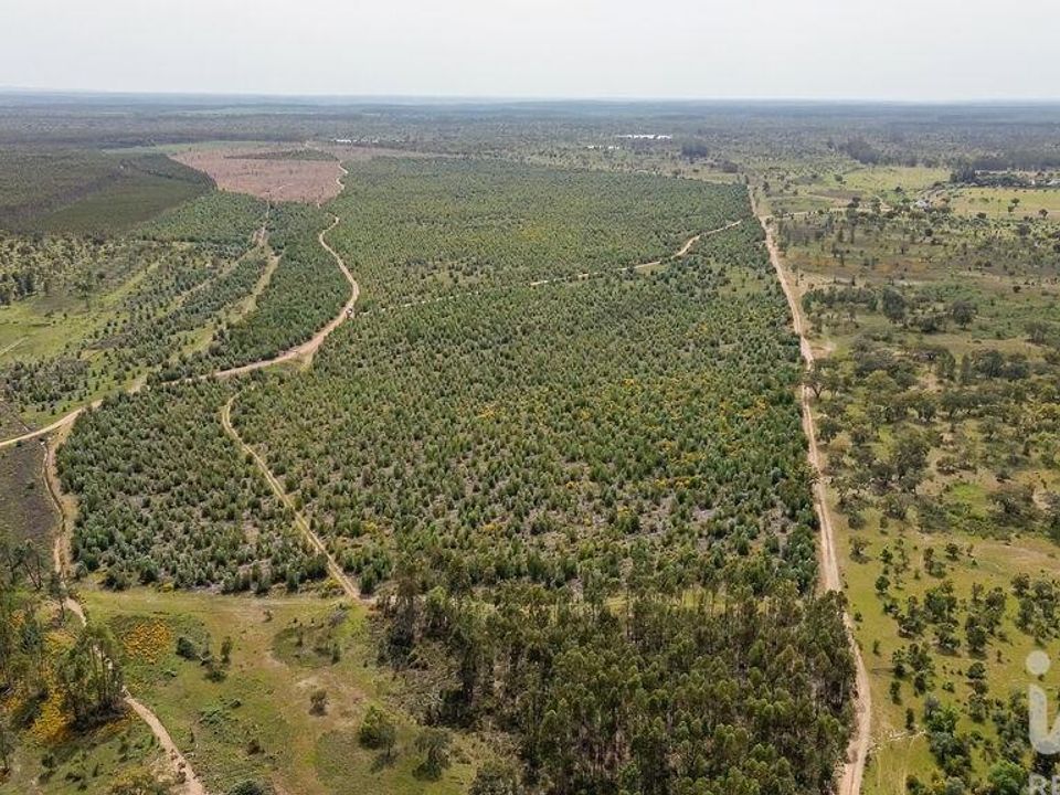 Helårsgrund i Abrantes, Santarem - foto 2