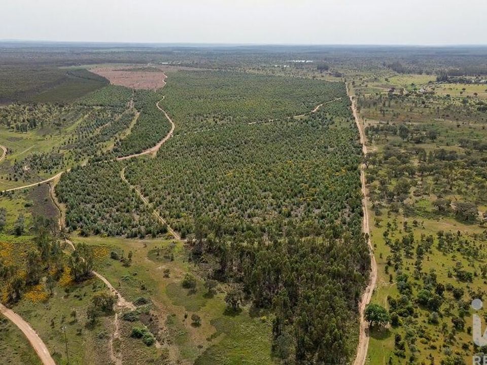 Helårsgrund i Abrantes, Santarem - foto 3