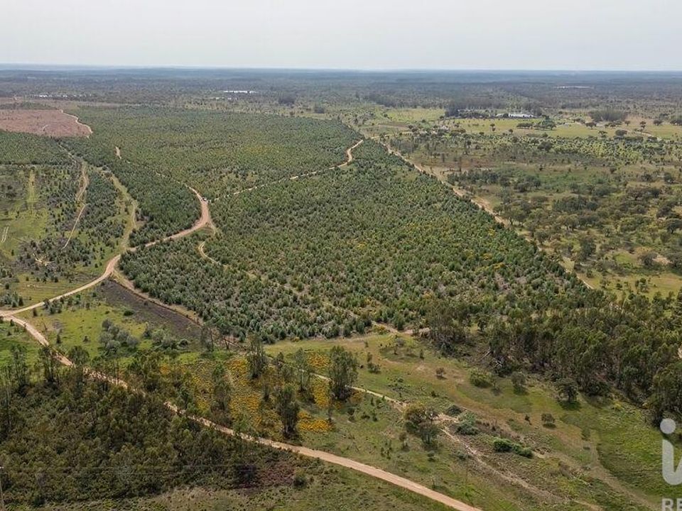 Helårsgrund i Abrantes, Santarem - foto 4