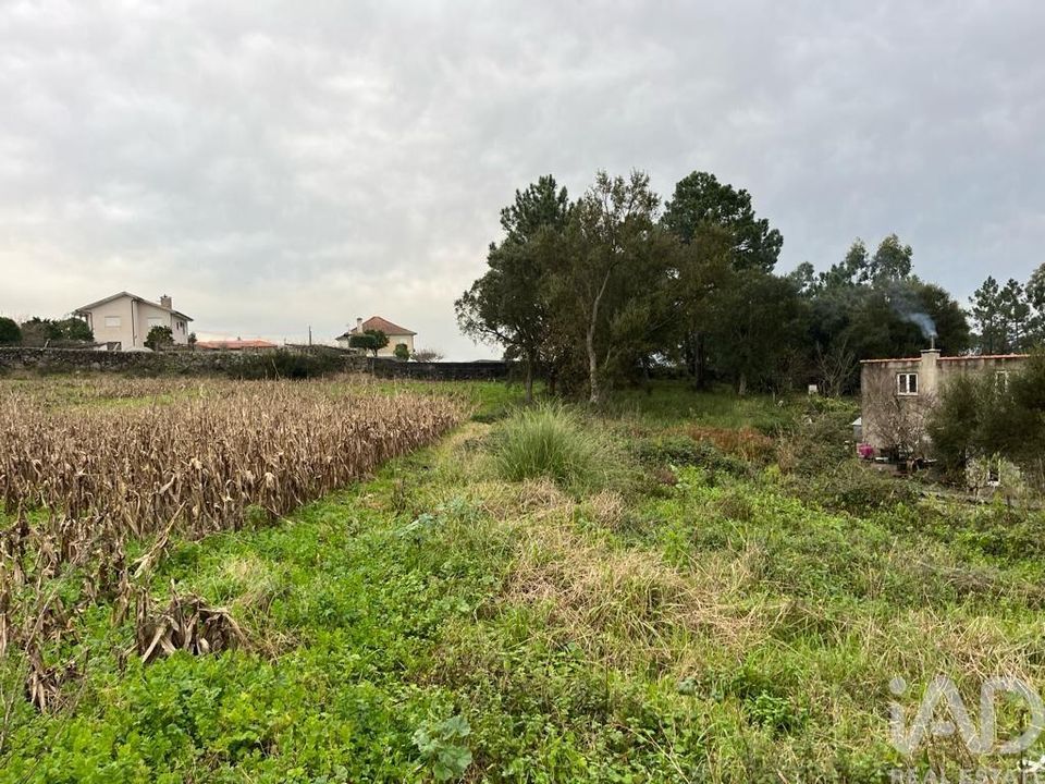 Helårsgrund i Esposende, Braga - foto 1