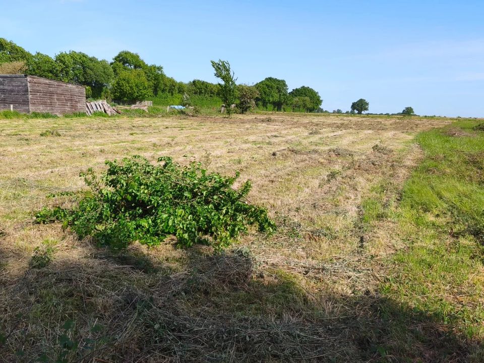 Helårsgrund i Valence-en-Poitou, Vienne - foto 2