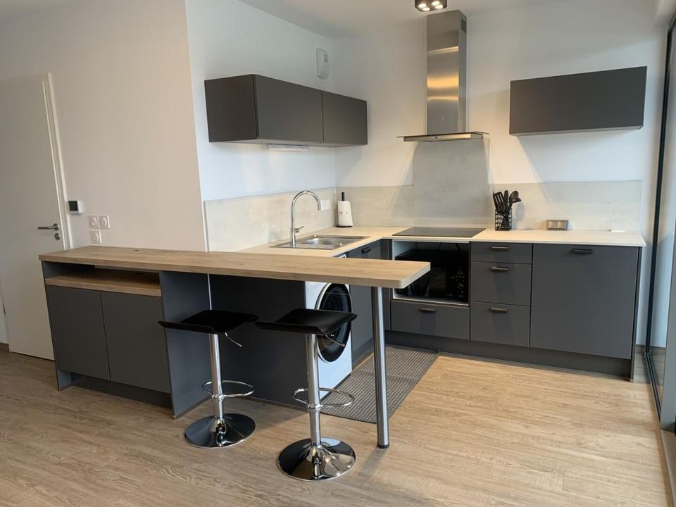 Studio i Strasbourg, Bas-Rhin - foto 4