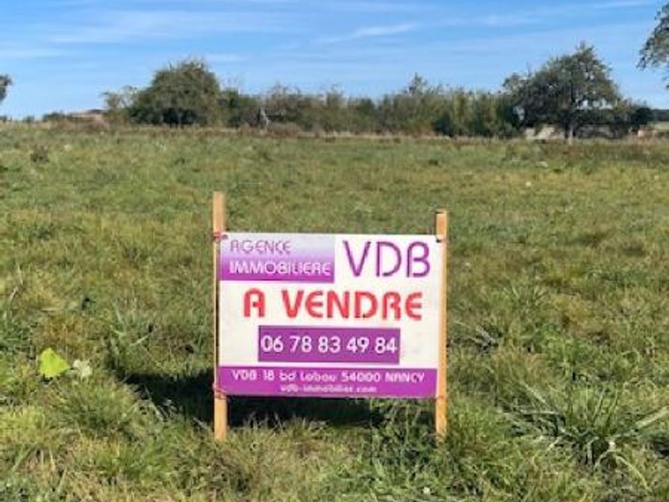 Land in Jallaucourt, Moselle - photo 3
