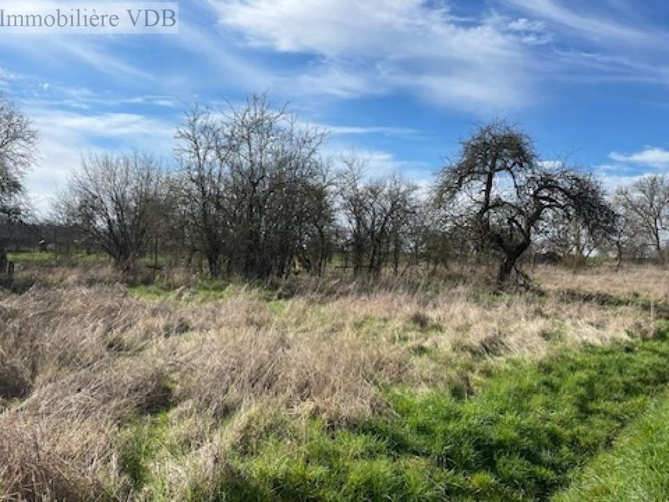 Helårsgrund i Arracourt, Meurthe-et-Moselle - foto 5