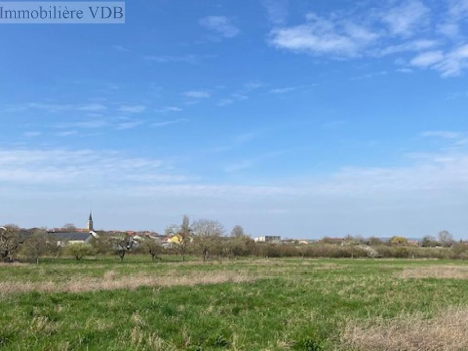 Helårsgrund i Haraucourt, Meurthe-et-Moselle - foto 2