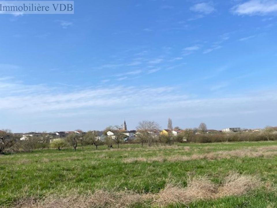 Helårsgrund i Haraucourt, Meurthe-et-Moselle - foto 5