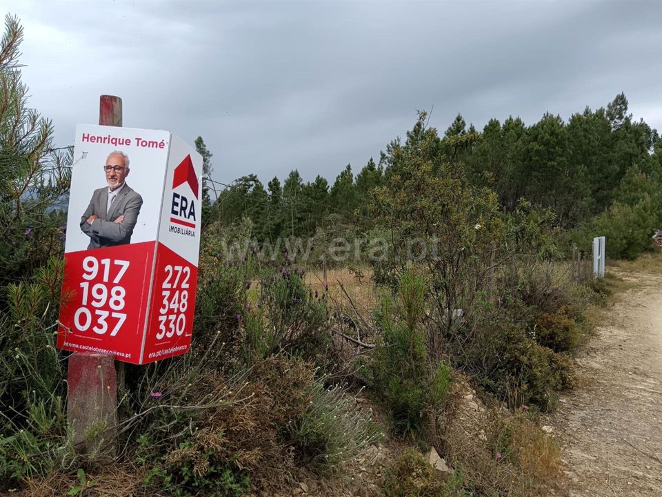 Tomt i Proenca-a-Nova, Castelo Branco - bilde 1