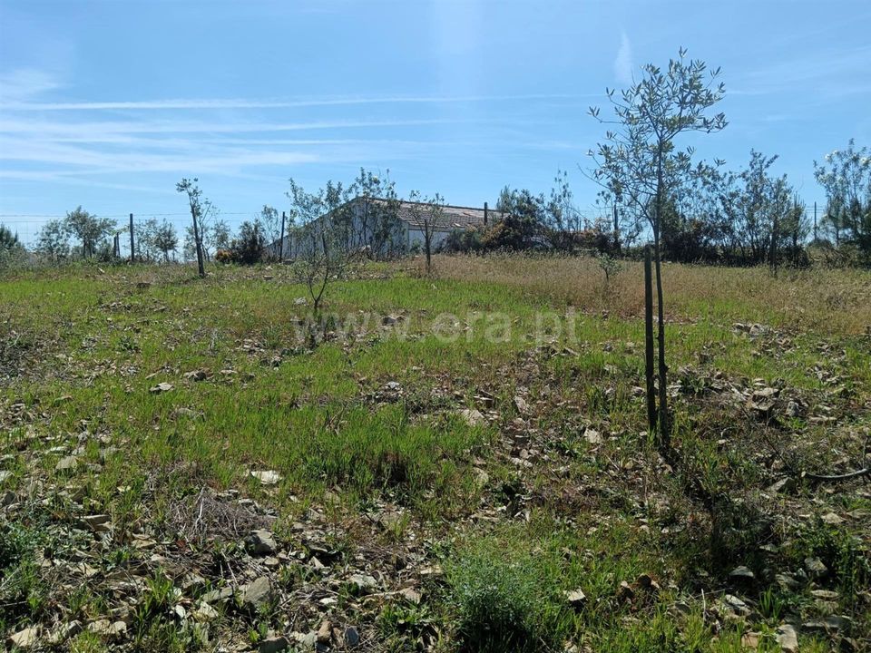 Tomt i Proenca-a-Nova, Castelo Branco - bilde 4