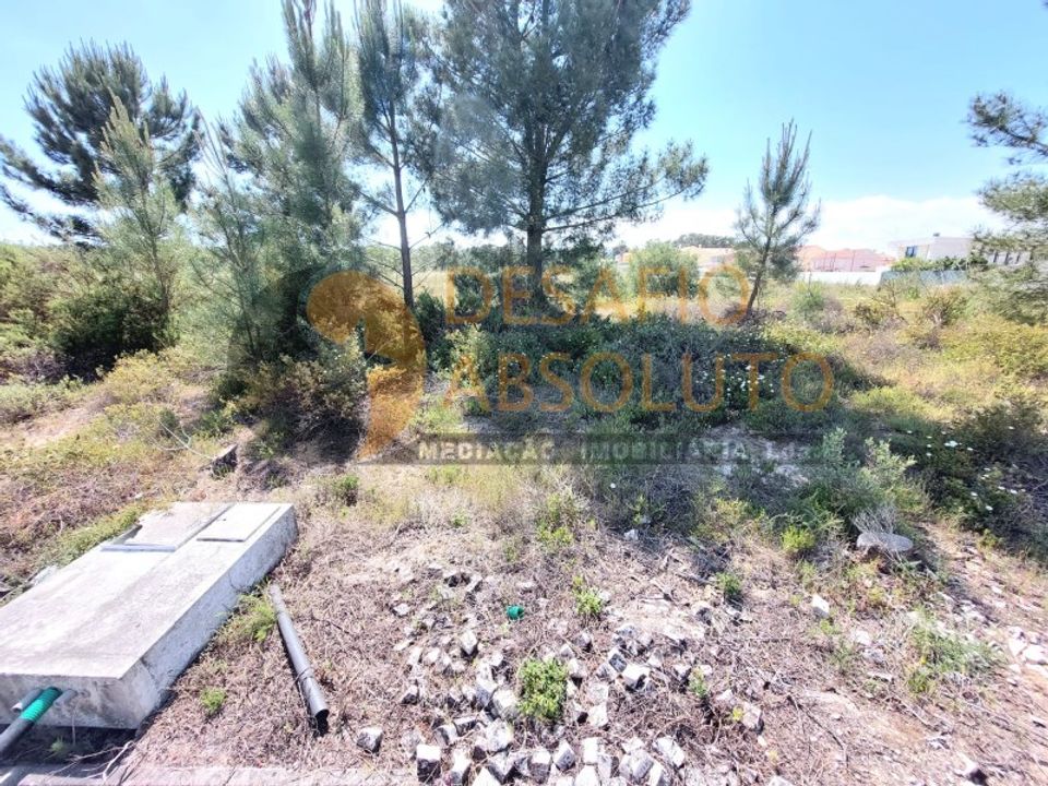 Helårsgrund i Quinta do Conde, Setubal - foto 5