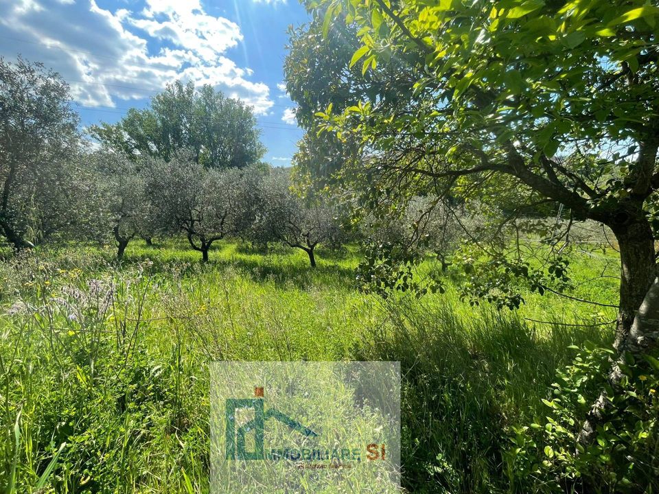 Helårsgrund i Benevento, Benevento - foto 3