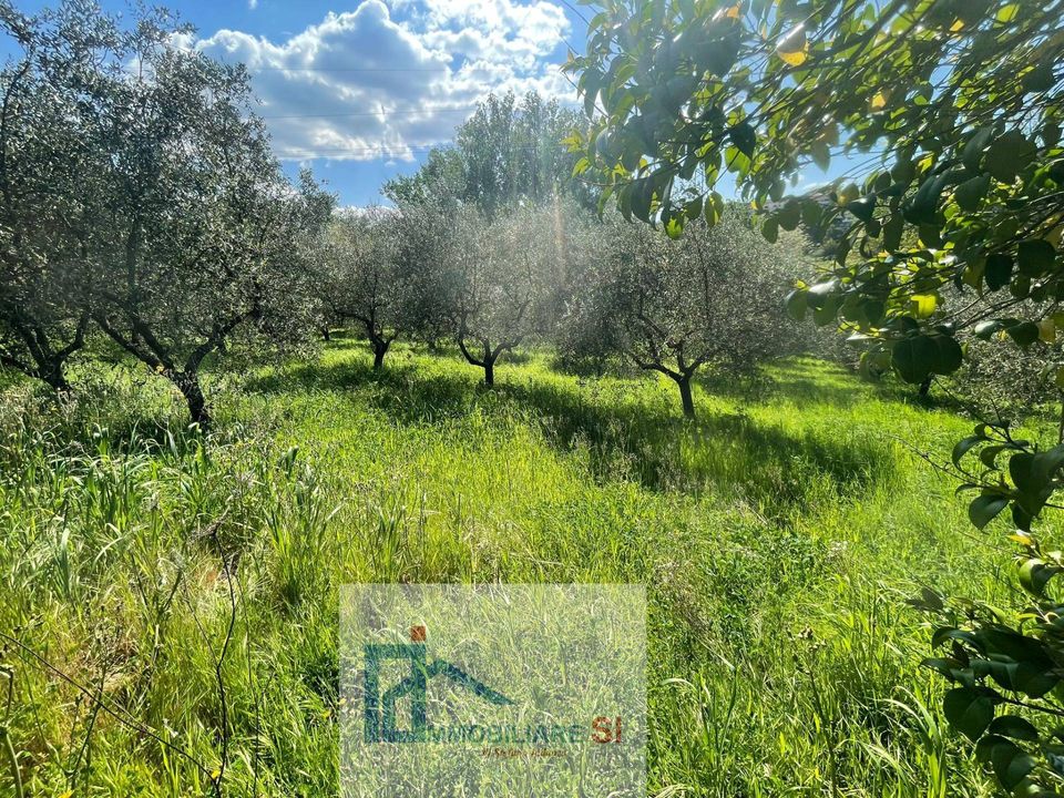 Helårsgrund i Benevento, Benevento - foto 4