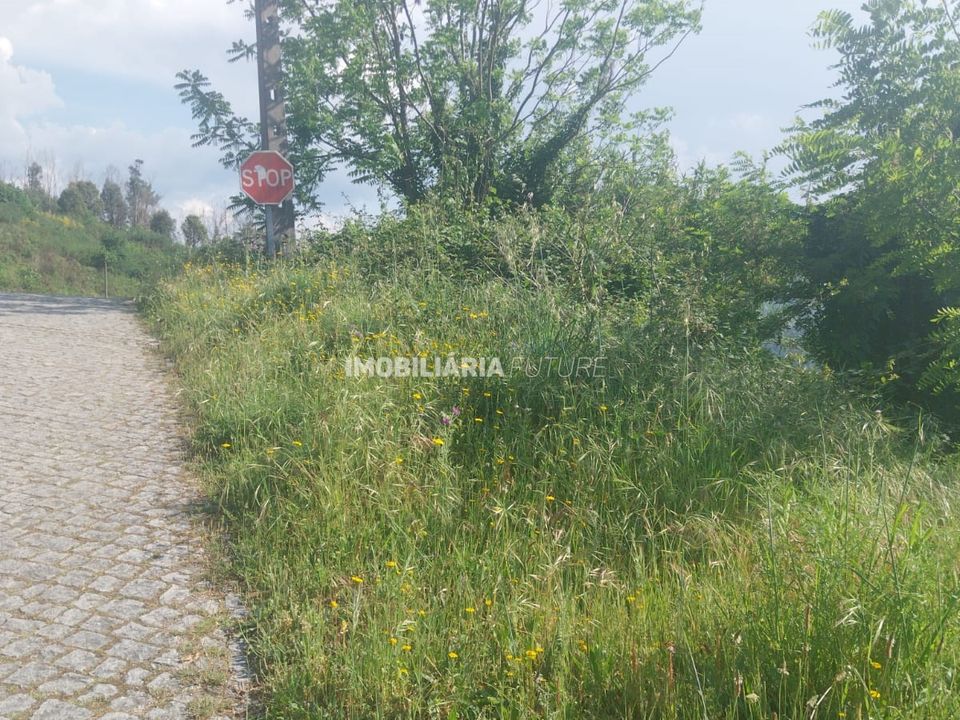 Tomt i Baiao, Porto - bilde 5