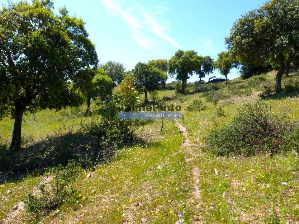 Terreno en Portel, Evora - foto 2