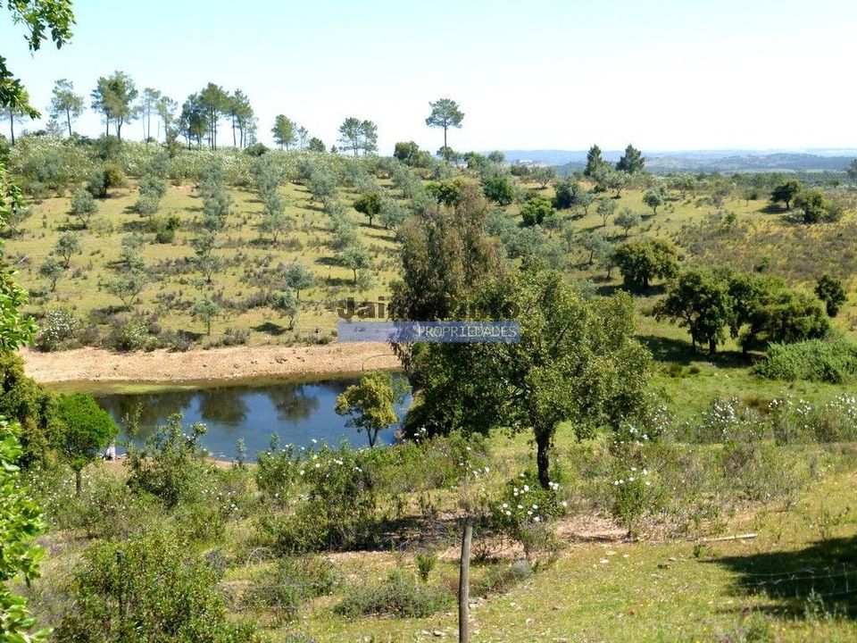 Terreno en Portel, Evora - foto 3