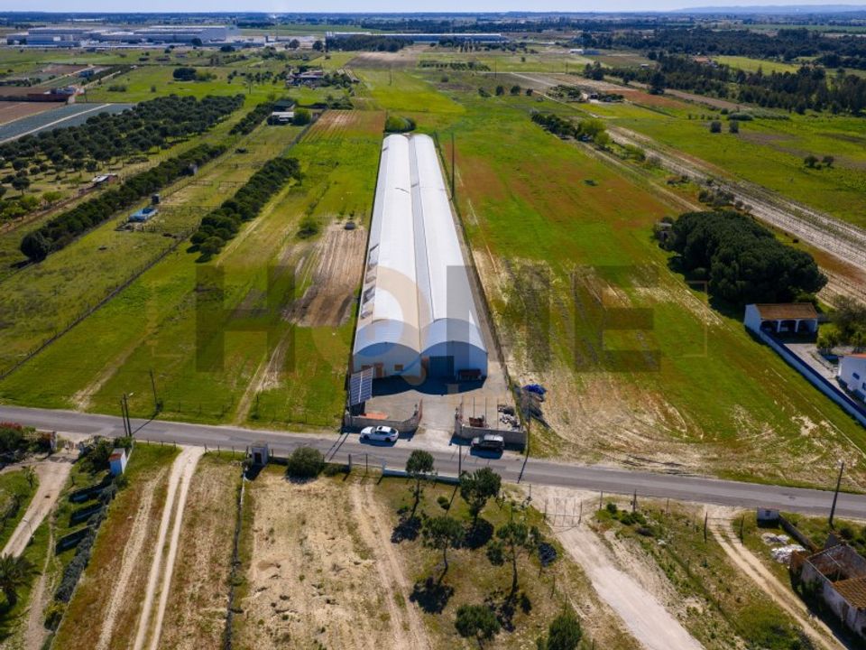 Helårsgrund i Almeirim, Santarem - foto 1