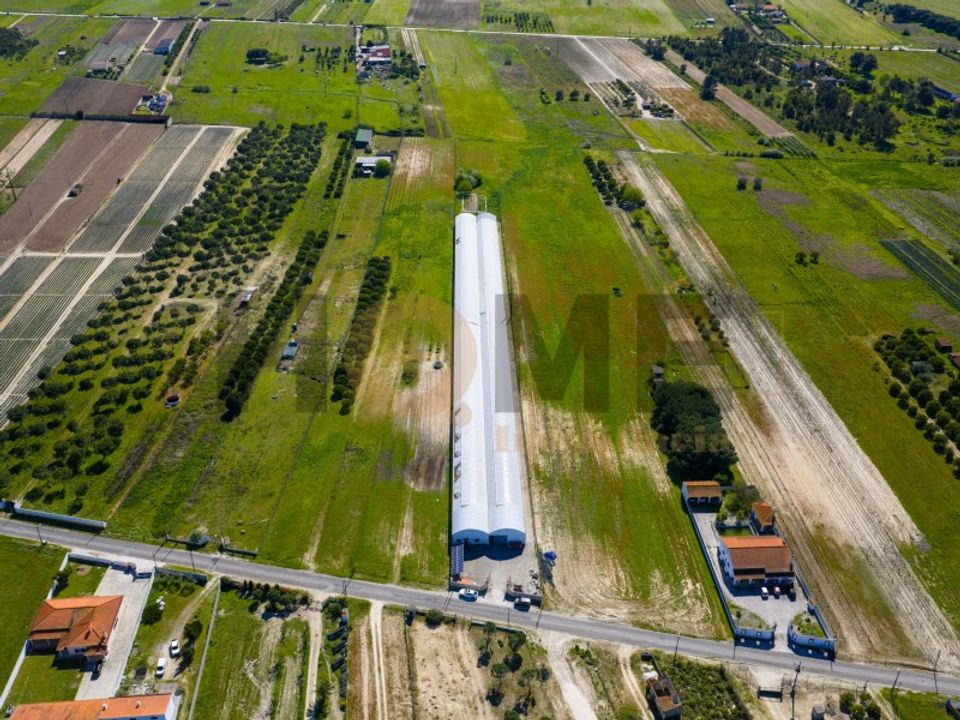 Helårsgrund i Almeirim, Santarem - foto 2