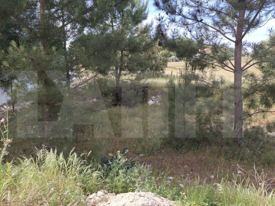 Helårsgrund i Quinta do Anjo, Setubal - foto 2