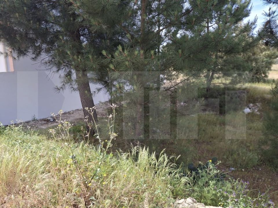 Helårsgrund i Quinta do Anjo, Setubal - foto 3