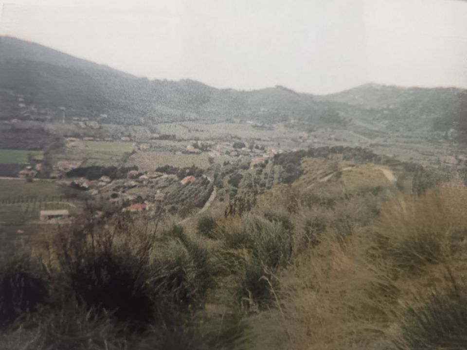 Tomt i Montecorice, Salerno - bilde 2