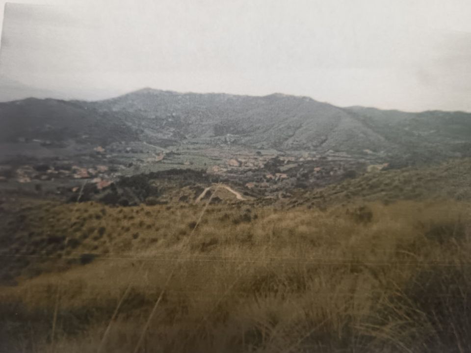 Tomt i Montecorice, Salerno - bilde 5