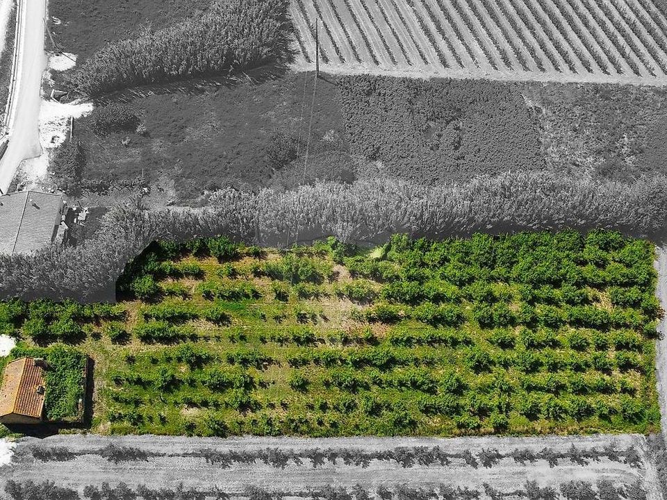 Villa i Bombarral, Leiria - foto 4