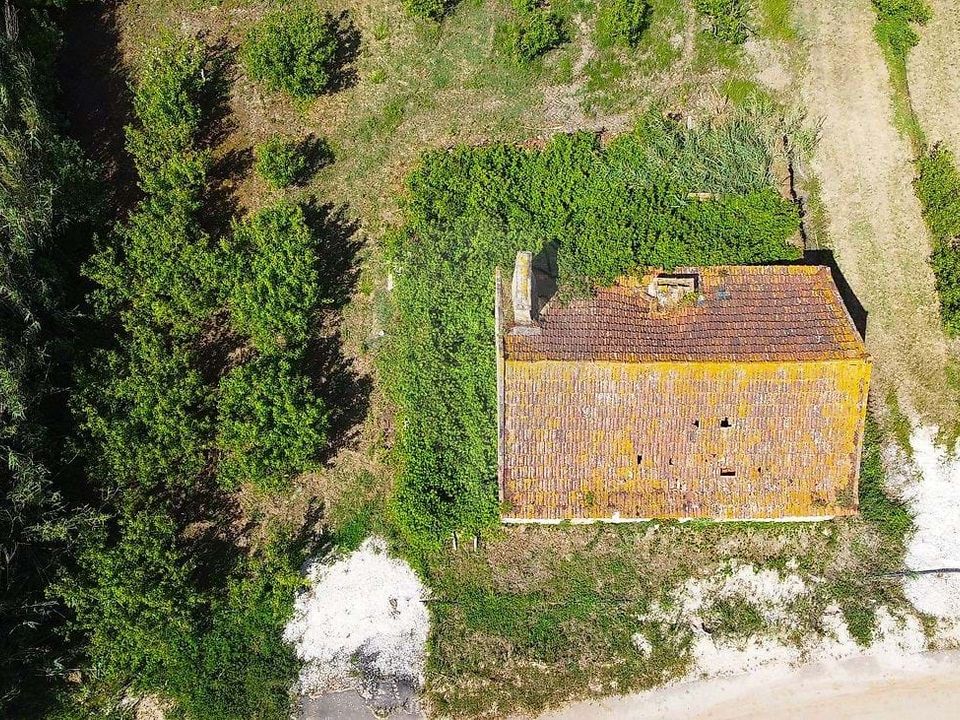 Villa i Bombarral, Leiria - foto 5