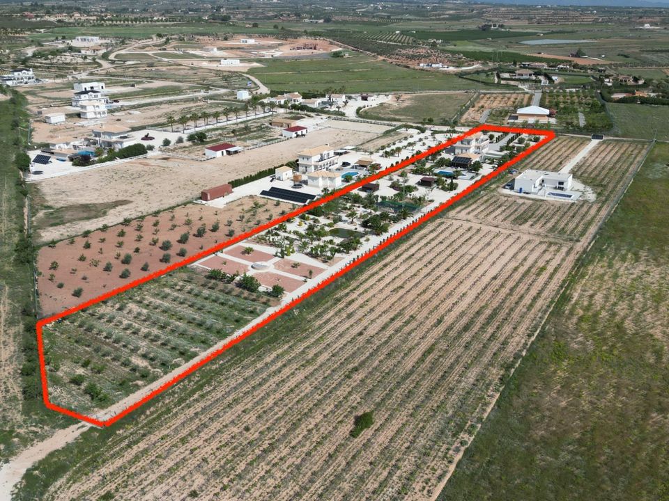 Villa i Pinoso, Alicante - foto 5