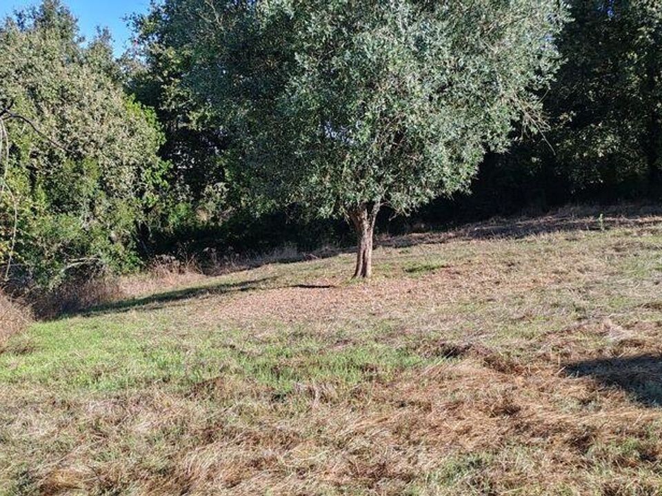 Helårsgrund i Ansiao, Leiria - foto 5