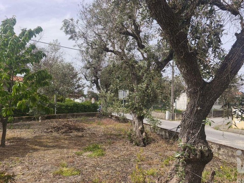 Dorpshuis in Oliveira do Hospital, Coimbra - foto 5
