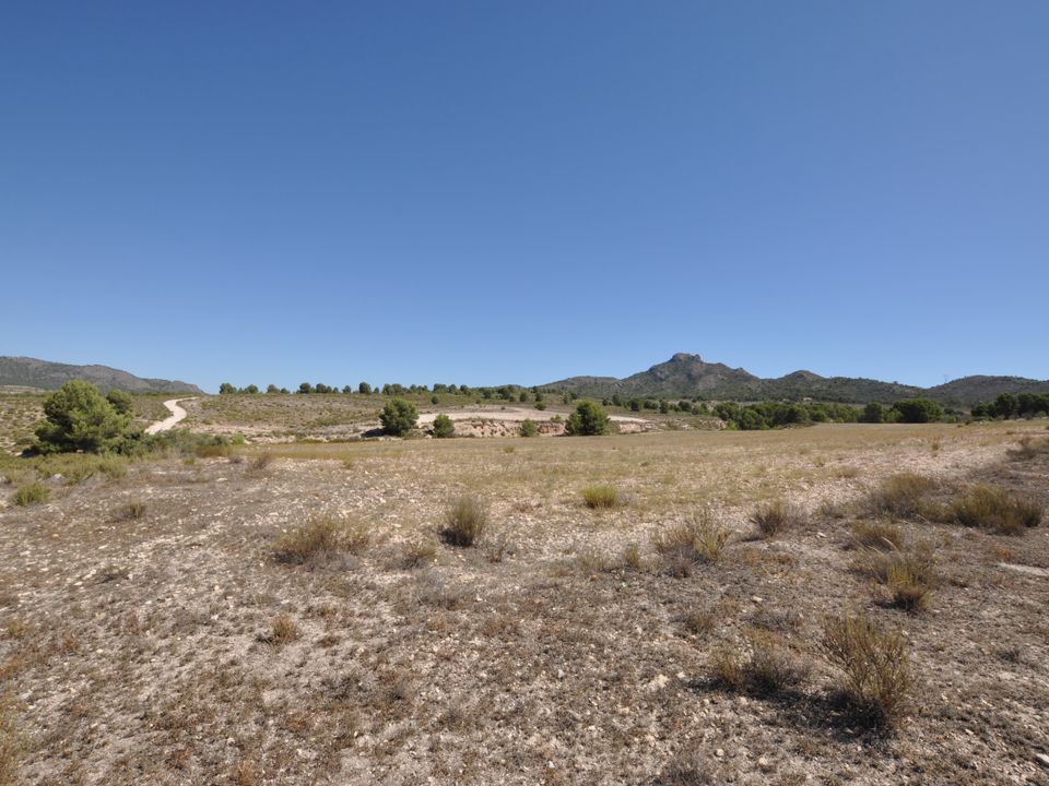 Helårsgrund i Salinas, Alicante - foto 1