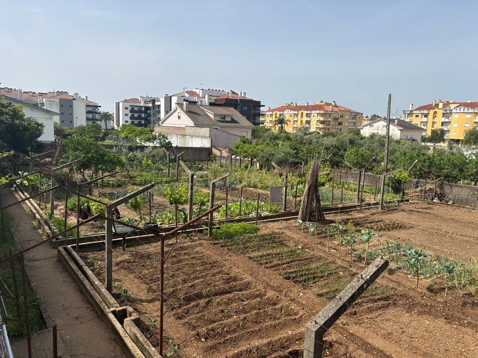 Helårsgrund i Entroncamento, Santarem - foto 4
