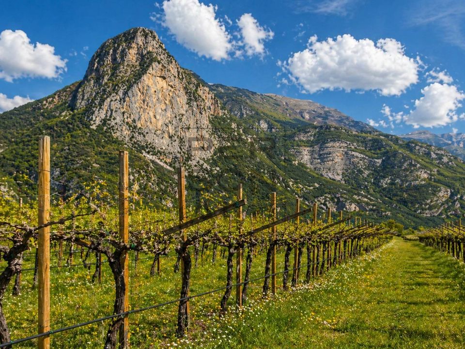 Helårsgrund i Dro, Trento - foto 2