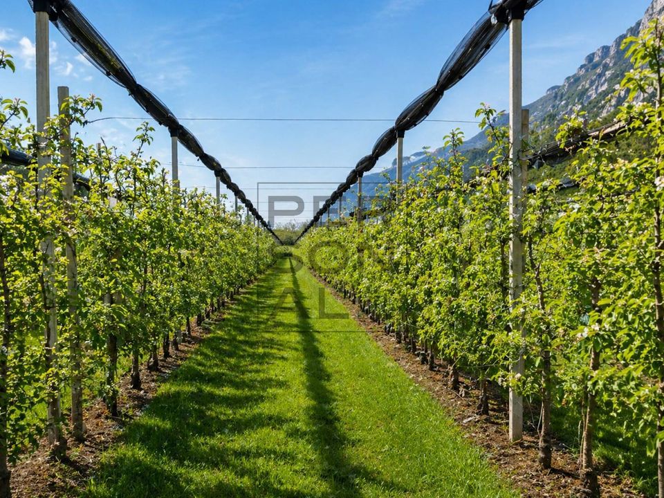 Helårsgrund i Dro, Trento - foto 3