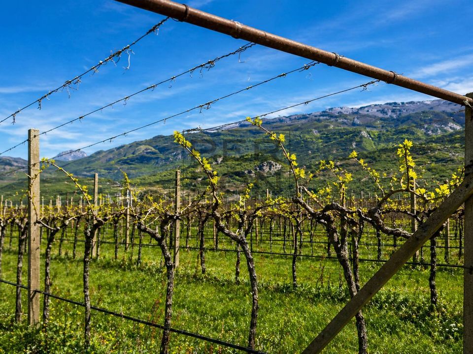 Helårsgrund i Dro, Trento - foto 4