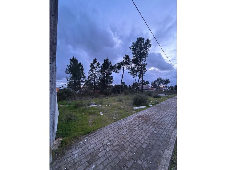 Helårsgrund i Quinta do Anjo, Setubal - foto 1