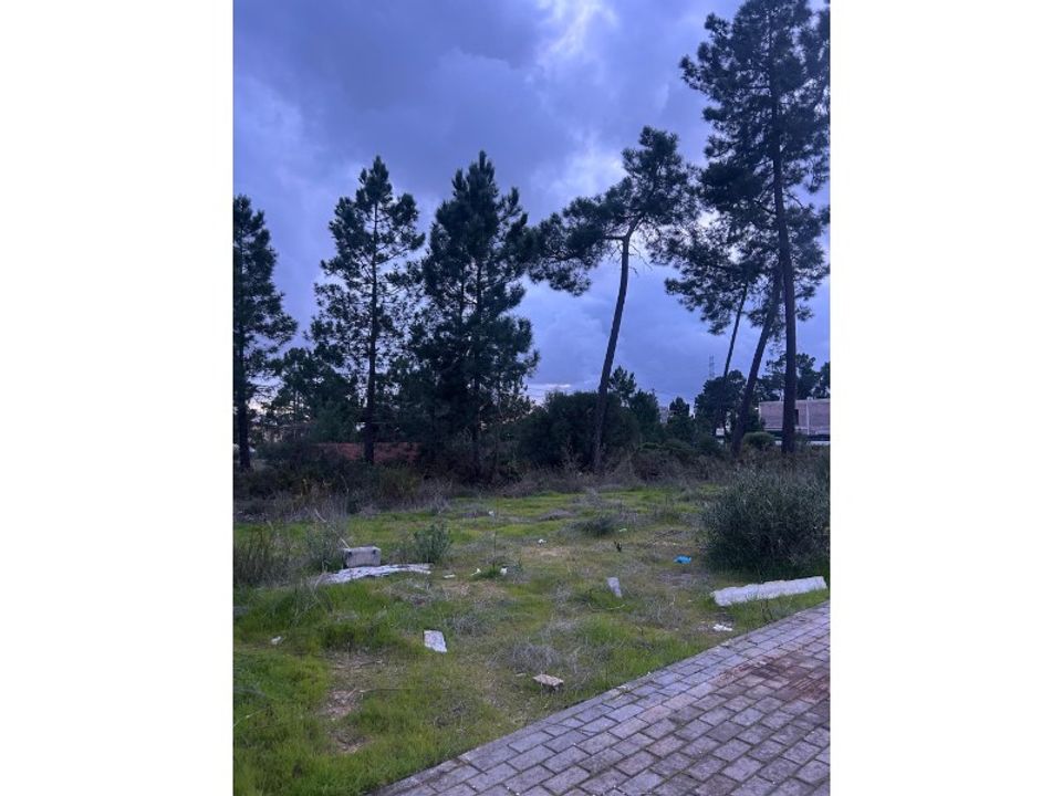 Helårsgrund i Quinta do Anjo, Setubal - foto 2