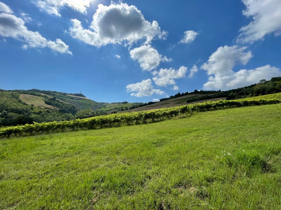Villa i Ripatransone, Ascoli Piceno - foto 3