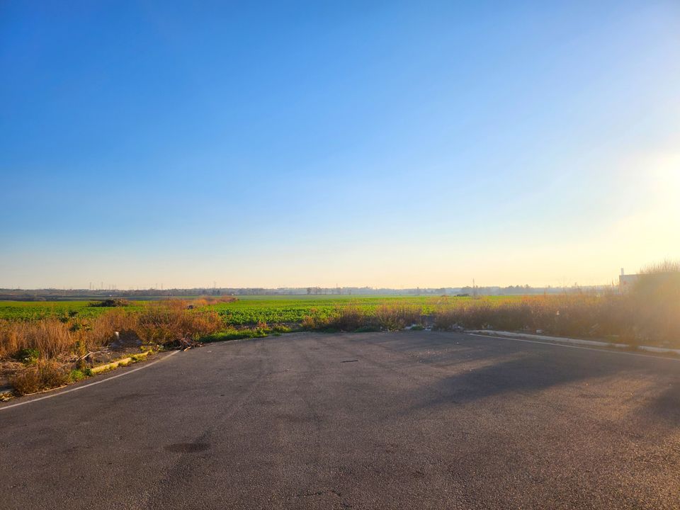 Erhvervsejendom i Tarquinia, Viterbo - foto 4